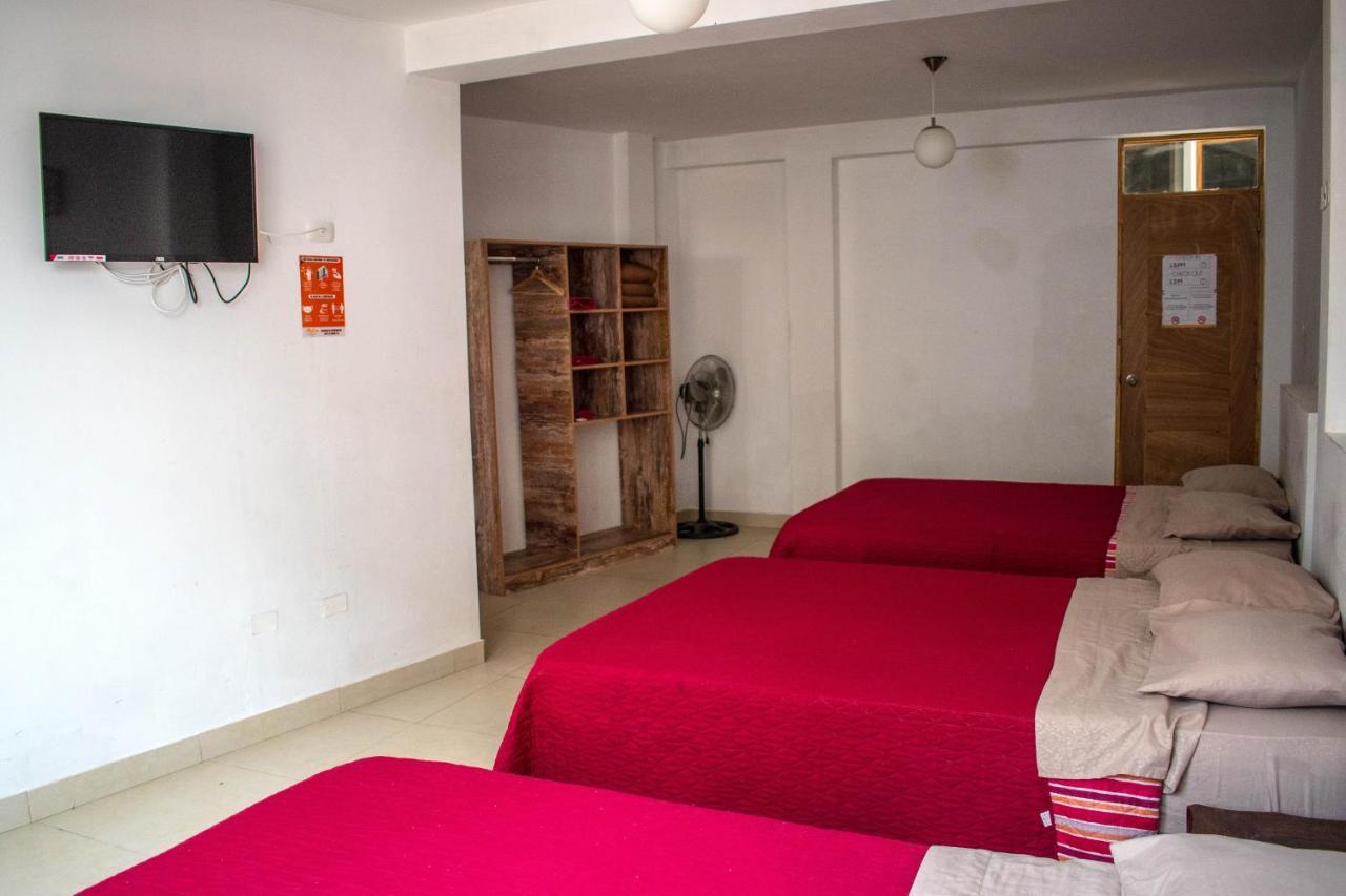 איקה Carola Lodge מראה חיצוני תמונה