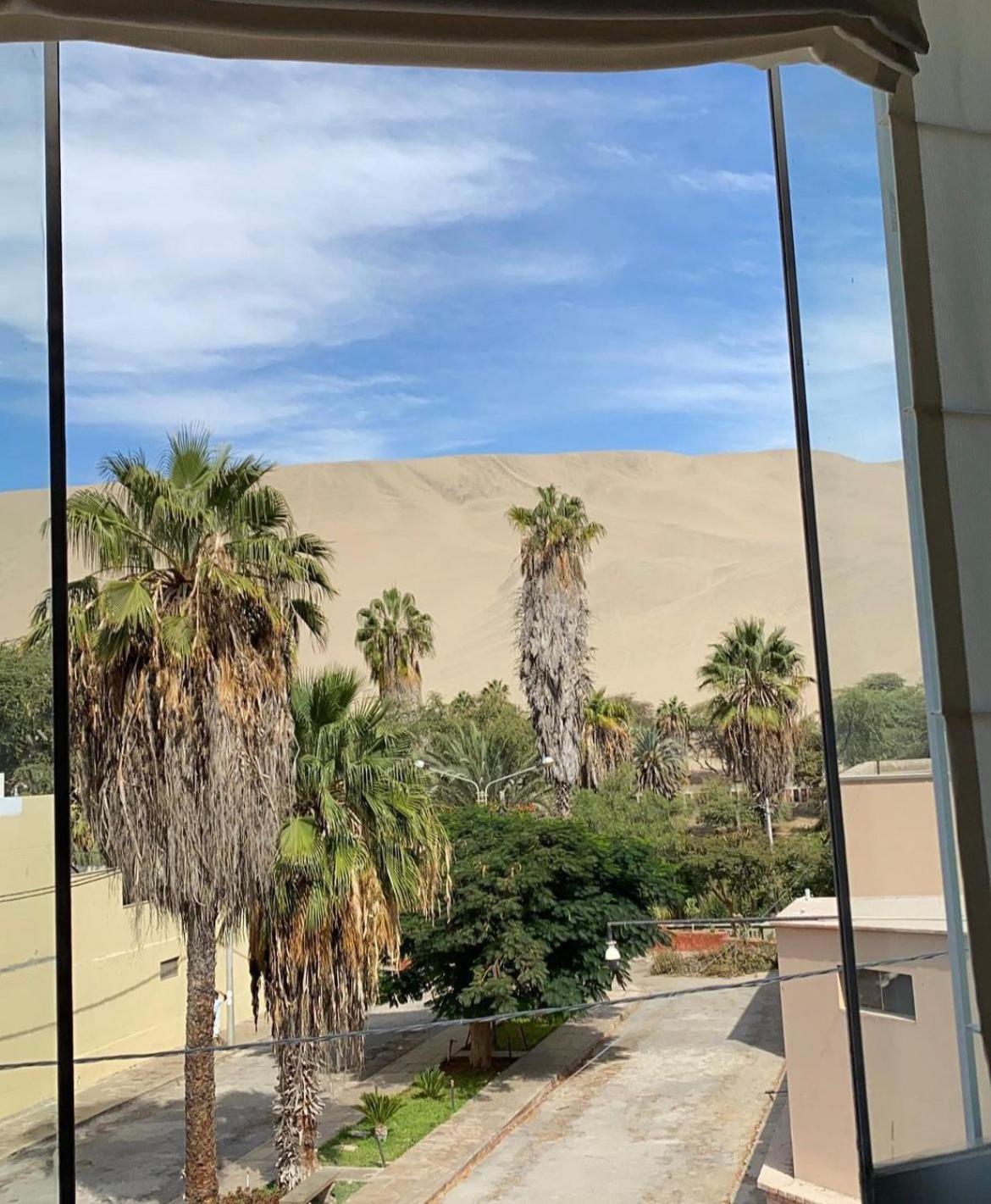 איקה Carola Lodge מראה חיצוני תמונה
