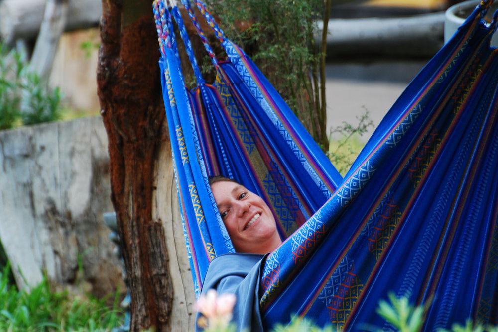 איקה Carola Lodge מראה חיצוני תמונה