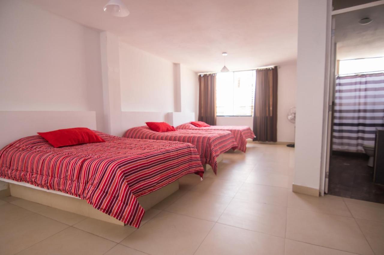 איקה Carola Lodge מראה חיצוני תמונה